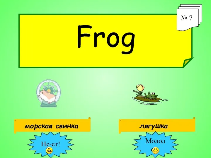 Frog № 7 лягушка