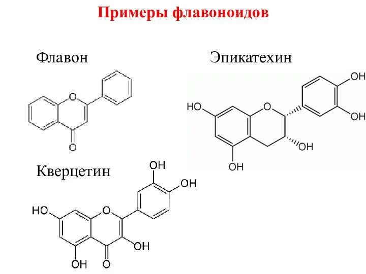 Примеры флавоноидов Флавон Эпикатехин Кверцетин