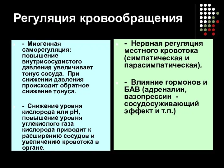 Регуляция кровообращения - Миогенная саморегуляция: повышение внутрисосудистого давления увеличивает тонус