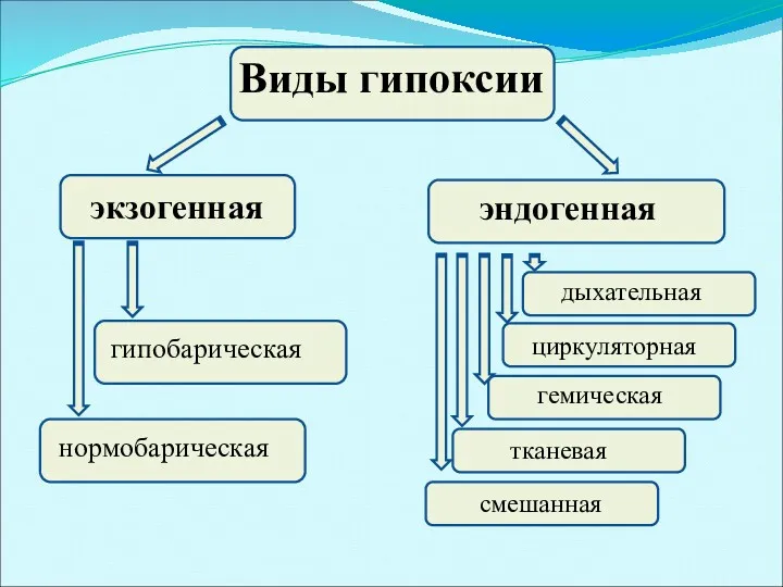 Виды гипоксии экзогенная эндогенная гипобарическая нормобарическая циркуляторная гемическая смешанная дыхательная тканевая