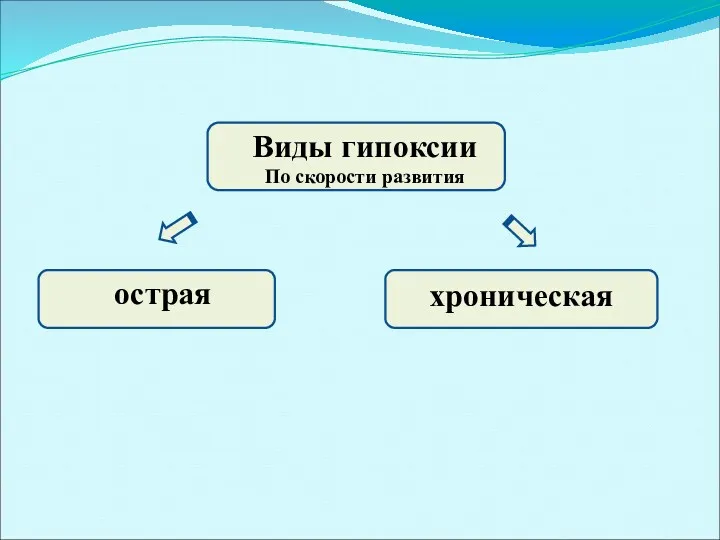 Виды гипоксии По скорости развития острая хроническая