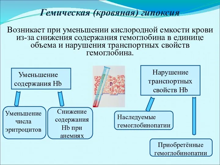 Гемическая (кровяная) гипоксия Возникает при уменьшении кислородной емкости крови из-за