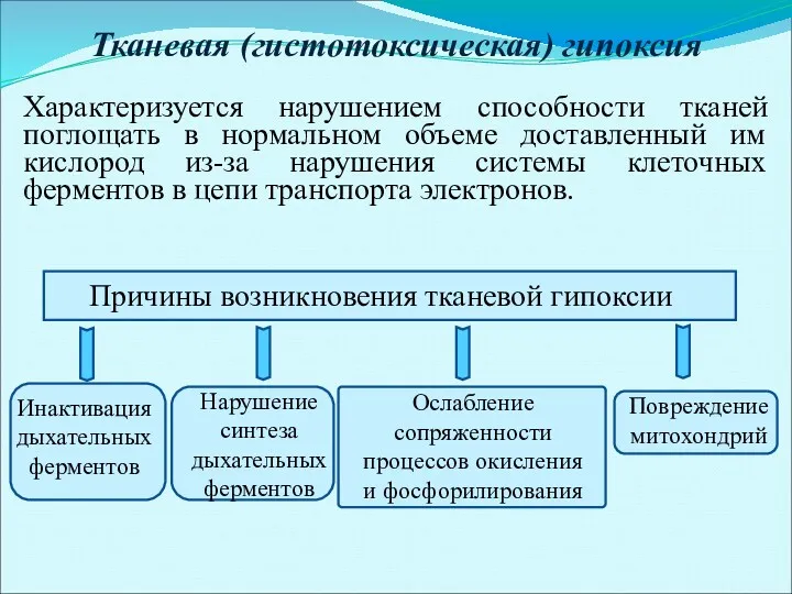 Тканевая (гистотоксическая) гипоксия Характеризуется нарушением способности тканей поглощать в нормальном