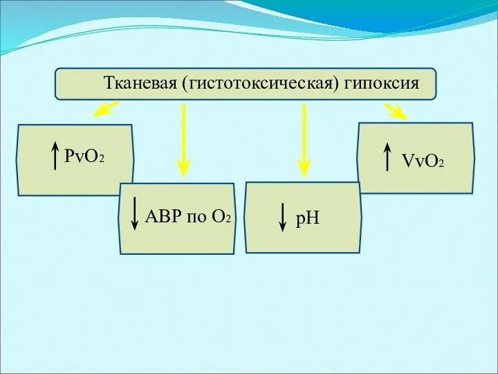 Тканевая (гистотоксическая) гипоксия PvO2 pH VvO2 АВР по O2