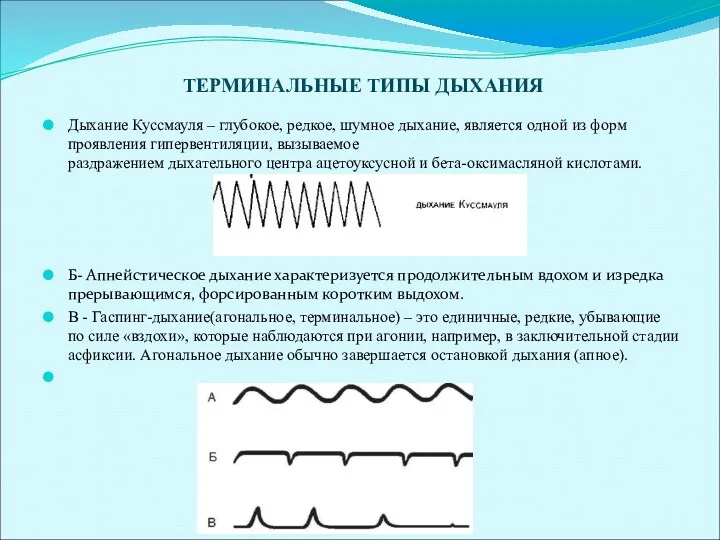 ТЕРМИНАЛЬНЫЕ ТИПЫ ДЫХАНИЯ Дыхание Куссмауля – глубокое, редкое, шумное дыхание,