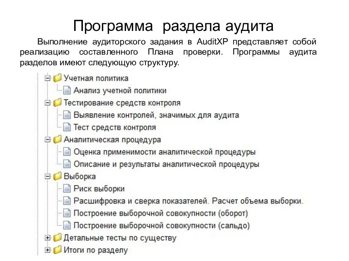 Программа раздела аудита Выполнение аудиторского задания в AuditXP представляет собой