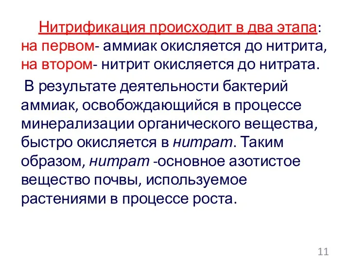 Нитрификация происходит в два этапа: на первом- аммиак окисляется до