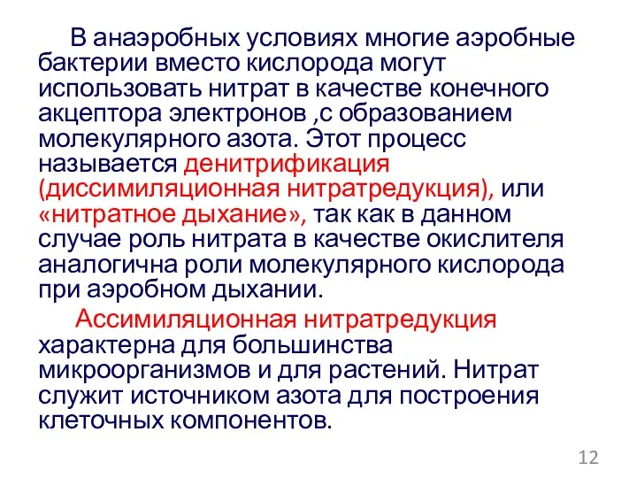 В анаэробных условиях многие аэробные бактерии вместо кислорода могут использовать