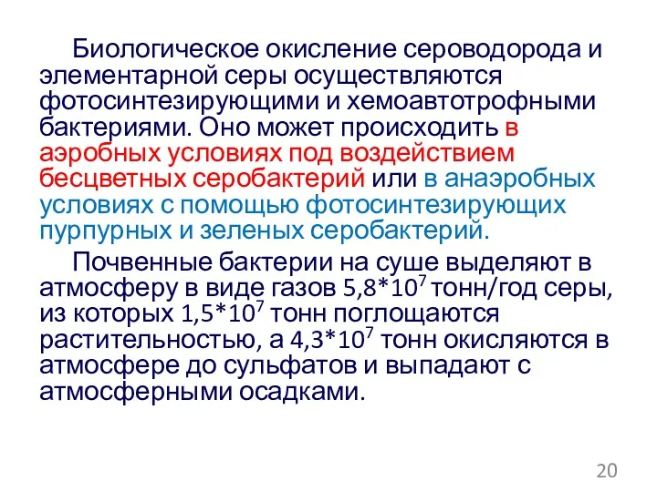 Биологическое окисление сероводорода и элементарной серы осуществляются фотосинтезирующими и хемоавтотрофными