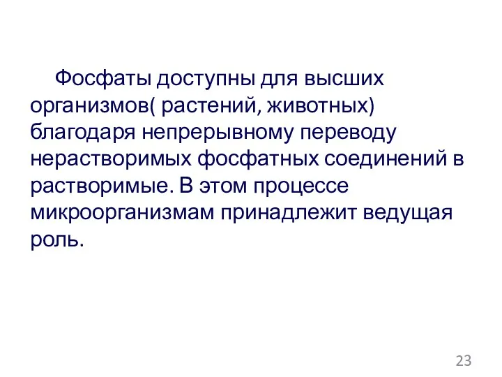 Фосфаты доступны для высших организмов( растений, животных) благодаря непрерывному переводу