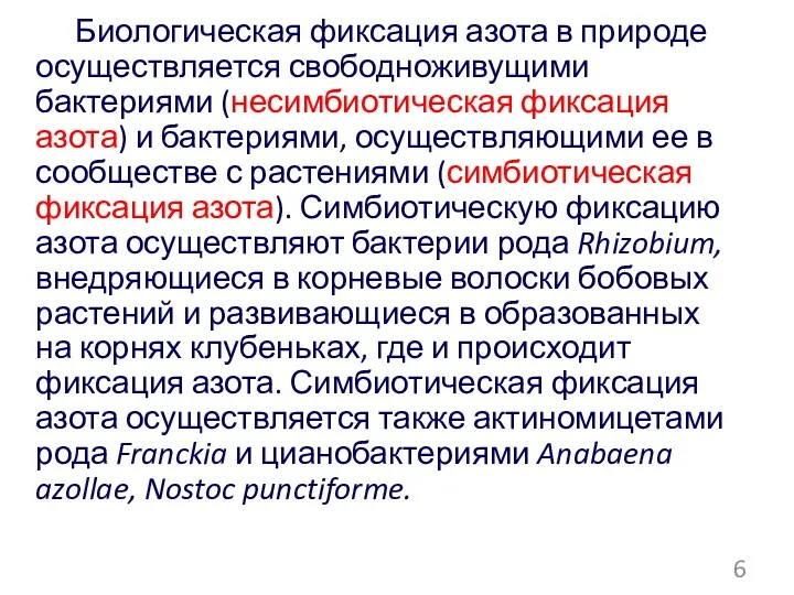 Биологическая фиксация азота в природе осуществляется свободноживущими бактериями (несимбиотическая фиксация