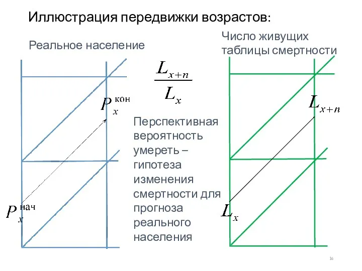 Иллюстрация передвижки возрастов: Реальное население Число живущих таблицы смертности Перспективная