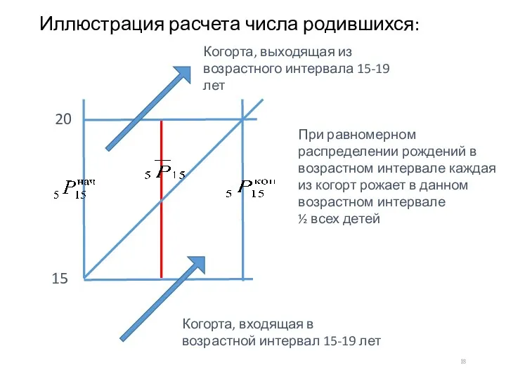 Иллюстрация расчета числа родившихся: Когорта, входящая в возрастной интервал 15-19