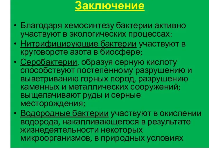 Заключение Благодаря хемосинтезу бактерии активно участвуют в экологических процессах: Нитрифицирующие