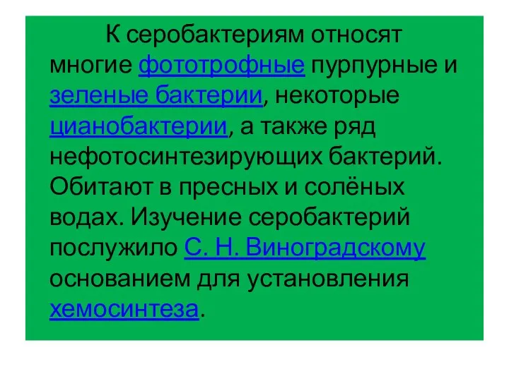 К серобактериям относят многие фототрофные пурпурные и зеленые бактерии, некоторые