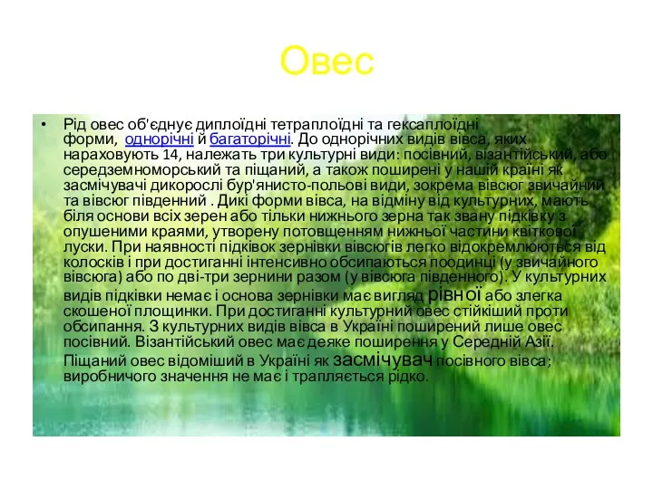 Овес Рід овес об'єднує диплоїдні тетраплоїдні та гексаплоїдні форми, однорічні