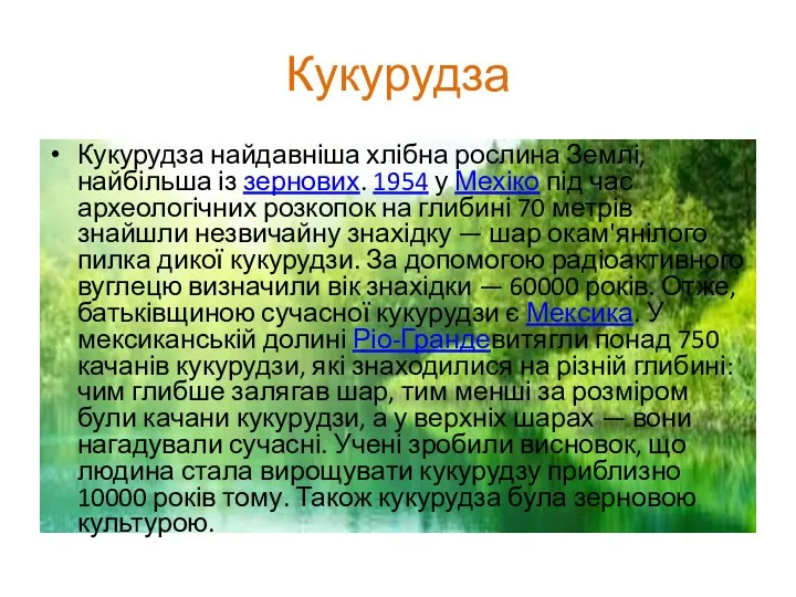 Кукурудза Кукурудза найдавніша хлібна рослина Землі, найбільша із зернових. 1954