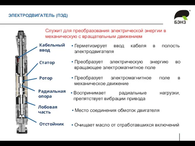 ЭЛЕКТРОДВИГАТЕЛЬ (ПЭД) Служит для преобразования электрической энергии в механическую с