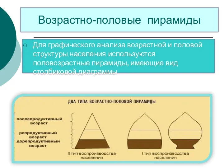 Возрастно-половые пирамиды Для графического анализа возрастной и половой структуры населения