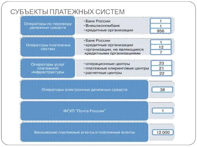 СУБЪЕКТЫ ПЛАТЕЖНЫХ СИСТЕМ