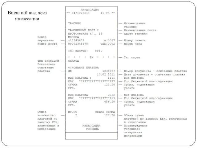 Внешний вид чека инкассации