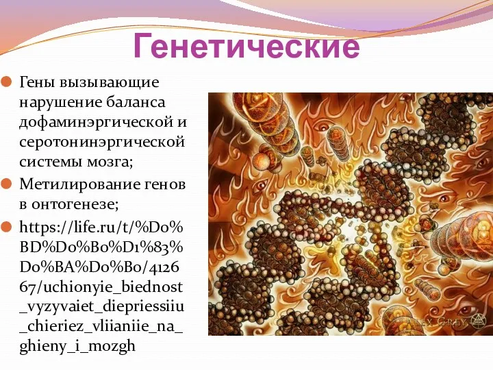 Генетические Гены вызывающие нарушение баланса дофаминэргической и серотонинэргической системы мозга; Метилирование генов в онтогенезе; https://life.ru/t/%D0%BD%D0%B0%D1%83%D0%BA%D0%B0/412667/uchionyie_biednost_vyzyvaiet_diepriessiiu_chieriez_vliianiie_na_ghieny_i_mozgh