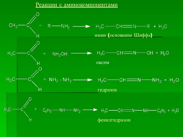 Реакции с аминокомпонентами имин (основание Шиффа) оксим гидразон фенилгидразон