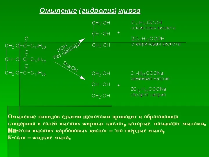 Омыление липидов едкими щелочами приводит к образованию глицерина и солей