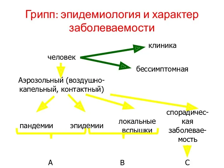 Грипп: эпидемиология и характер заболеваемости