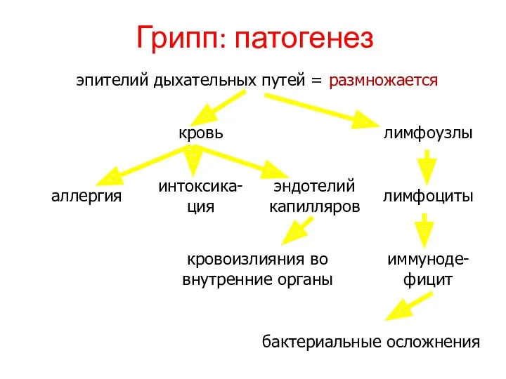 Грипп: патогенез