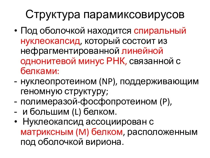 Структура парамиксовирусов Под оболочкой находится спиральный нуклеокапсид, который состоит из