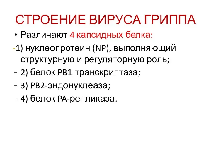 СТРОЕНИЕ ВИРУСА ГРИППА Различают 4 капсидных белка: -1) нуклеопротеин (NP),