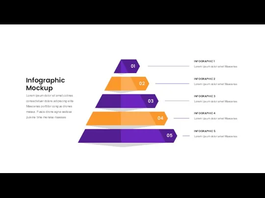 Infographic Mockup Lorem ipsum dolor sit amet colines consectetuer dolore