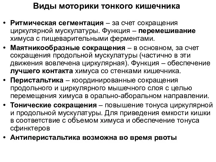 Виды моторики тонкого кишечника Ритмическая сегментация – за счет сокращения циркулярной мускулатуры. Функция