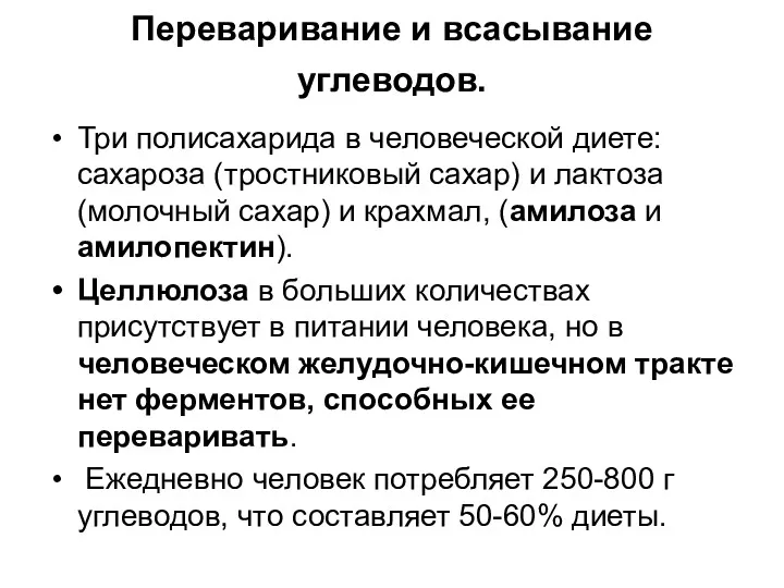 Переваривание и всасывание углеводов. Три полисахарида в человеческой диете: сахароза (тростниковый сахар) и