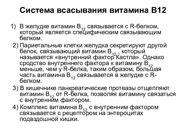 Система всасывания витамина В12 В желудке витамин В12 связывается с R-белком, который является