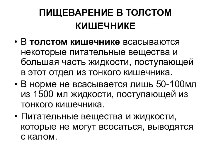 ПИЩЕВАРЕНИЕ В ТОЛСТОМ КИШЕЧНИКЕ В толстом кишечнике всасываются некоторые питательные вещества и большая