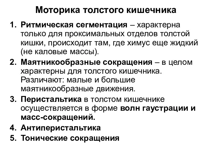 Моторика толстого кишечника Ритмическая сегментация – характерна только для проксимальных отделов толстой кишки,