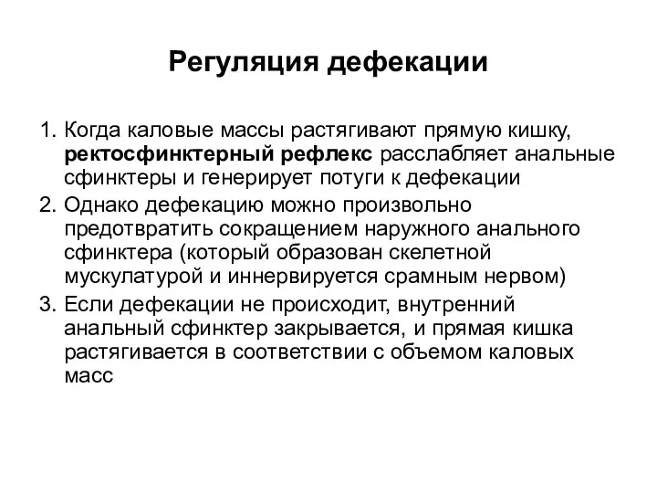 Регуляция дефекации 1. Когда каловые массы растягивают прямую кишку, ректосфинктерный рефлекс расслабляет анальные