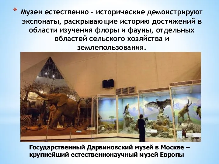 Музеи естественно - исторические демонстрируют экспонаты, раскрывающие историю достижений в