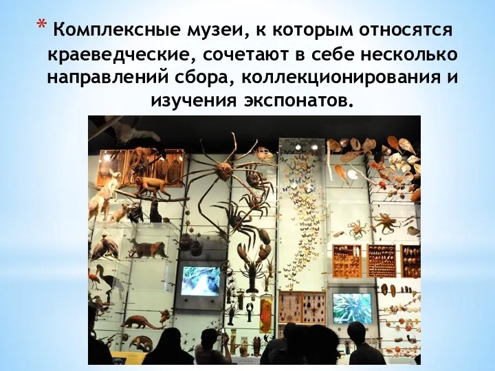 Комплексные музеи, к которым относятся краеведческие, сочетают в себе несколько направлений сбора, коллекционирования и изучения экспонатов.