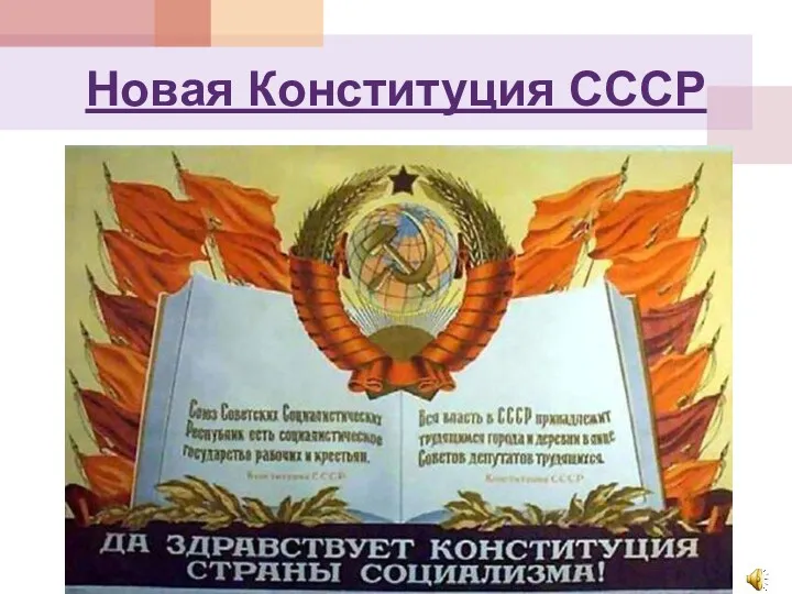 Новая Конституция СССР