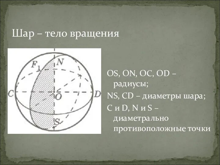 Шар – тело вращения OS, ON, OC, OD – радиусы;