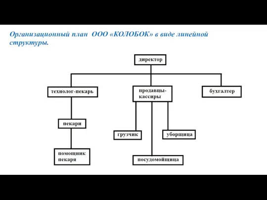 Организационный план ООО «КОЛОБОК» в виде линейной структуры.
