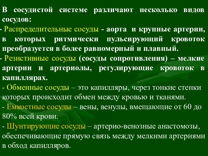 В сосудистой системе различают несколько видов сосудов: Распределительные сосуды -