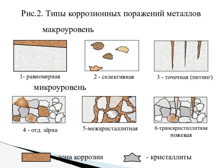 - зона коррозии - кристаллиты 1- равномерная 2 - селективная