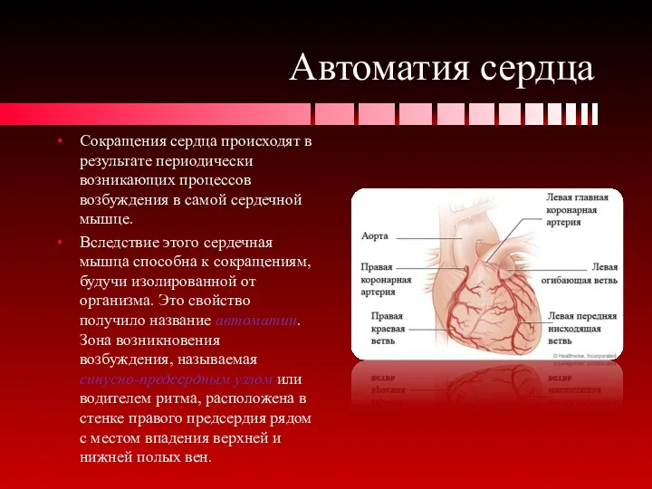 Автоматия сердца Сокращения сердца происходят в результате периодически возникающих процессов