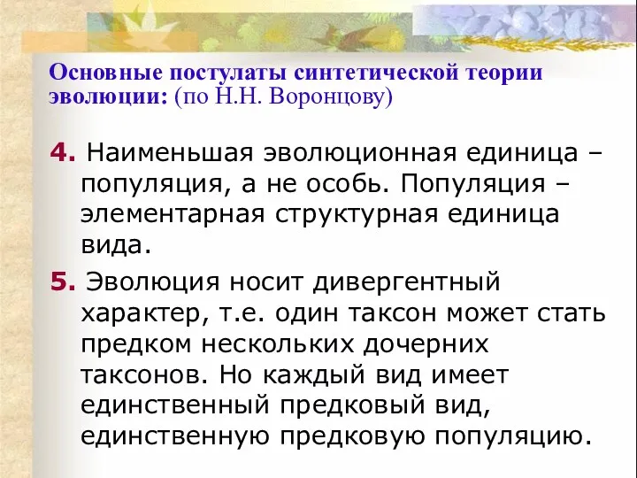 4. Наименьшая эволюционная единица – популяция, а не особь. Популяция – элементарная структурная