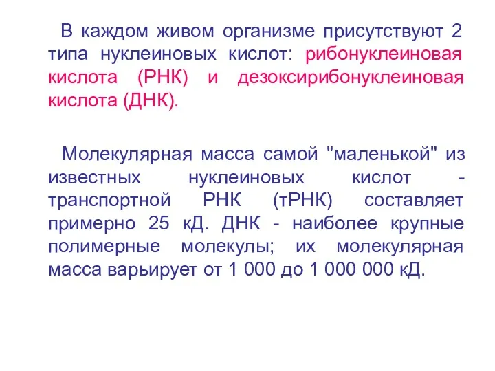 В каждом живом организме присутствуют 2 типа нуклеиновых кислот: рибонуклеиновая