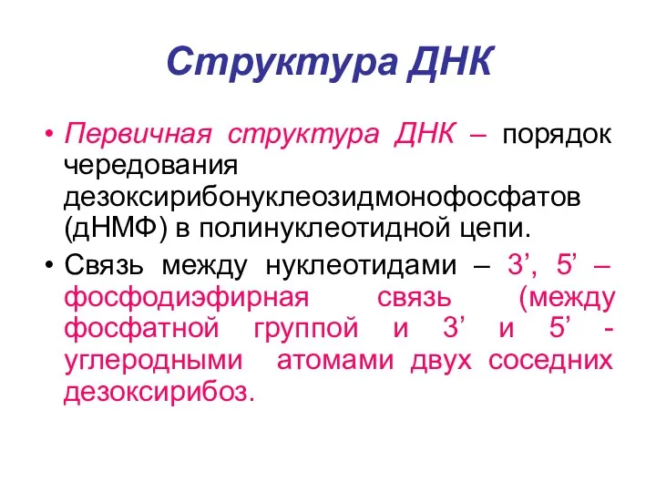 Структура ДНК Первичная структура ДНК – порядок чередования дезоксирибонуклеозидмонофосфатов (дНМФ)